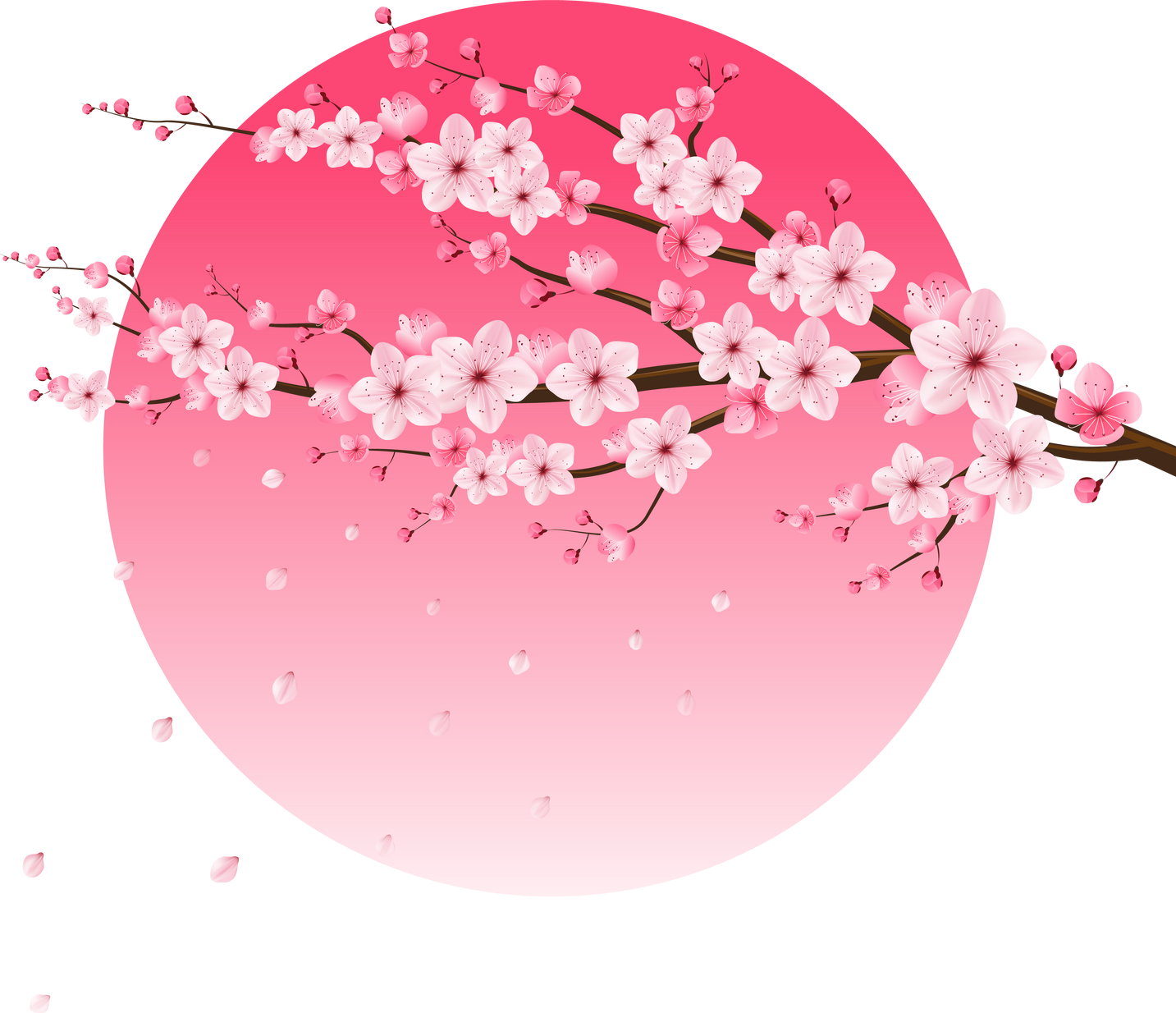 Sakura Cherry Blossom